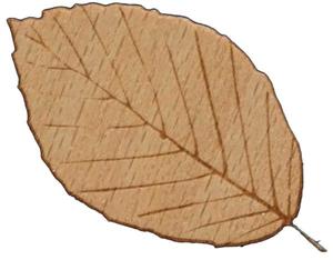 LASER WOOD BØK 4,5 MM